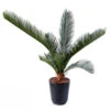 Palmier Cycas Artificiel En Pot H 50 Cm Vert - Choisissez Votre Hauteur: H 50 Cm 1 Palmier Cycas Artificiel En Pot H 50 Cm Vert - Choisissez Votre Hauteur: H 50 Cm -Terre et Verdure 63fa5142a59318.35638466