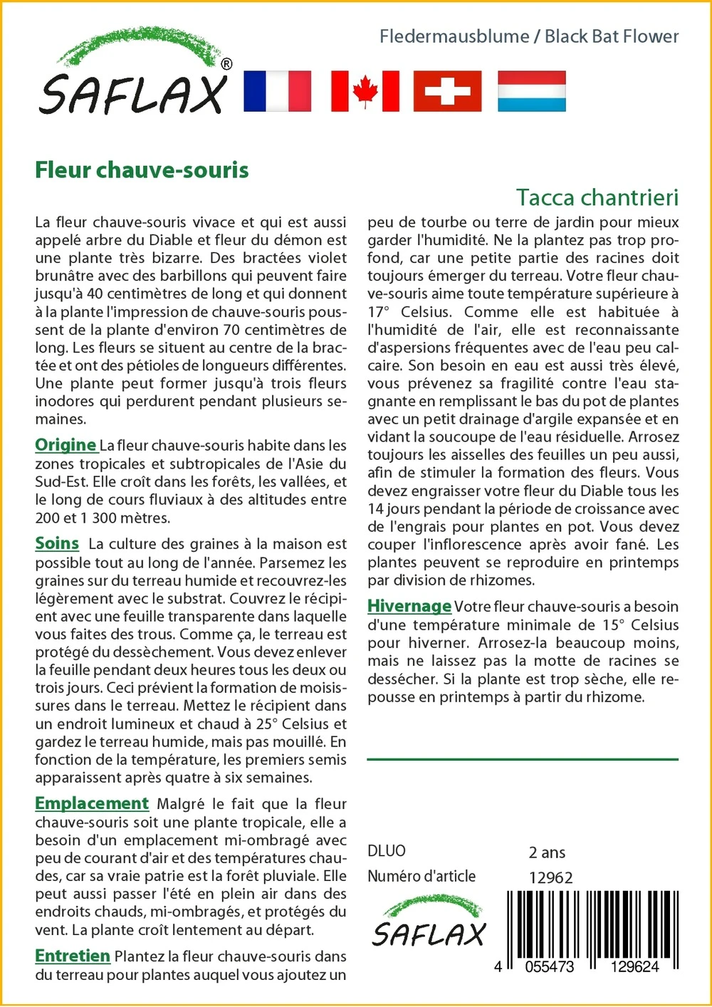 Kit De Culture - Fleur Chauve-souris - 10 Graines - Tacca Chantrieri 5 Kit De Culture - Fleur Chauve-souris - 10 Graines - Tacca Chantrieri – Image 3