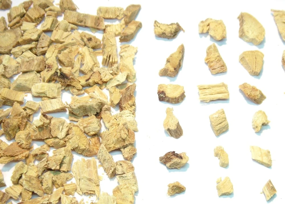 Kit De Culture - Réglisse Glabre - 30 Graines - Glycyrrhiza Glabra 6 Kit De Culture - Réglisse Glabre - 30 Graines - Glycyrrhiza Glabra – Image 4