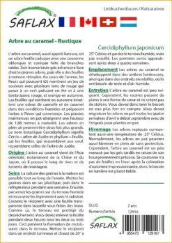 Kit De Culture - Arbre Au Caramel - 200 Graines - Cercidiphyllum Japonicum 11 Kit De Culture - Arbre Au Caramel - 200 Graines - Cercidiphyllum Japonicum -Terre et Verdure 64064132c9d4c4.04855019