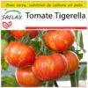 Kit De Culture - Tomate Tigerella - 10 Graines - Lycopersicon Esculentum 1 Kit De Culture - Tomate Tigerella - 10 Graines - Lycopersicon Esculentum -Terre et Verdure 64064139be26e2.18105117
