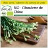 Kit De Culture - Bio - Ciboulette De Chine - 100 Graines - Allium Tuberosum -Terre et Verdure 6406414b0c1685.25541867