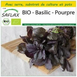 Kit De Culture - Bio - Basilic - Pourpre - 400 Graines - Ocimum Basilicum