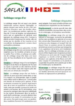 Kit De Culture - Solidage Verge D'or - 100 Graines - Solidago Virgaurea 8 Kit De Culture - Solidage Verge D'or - 100 Graines - Solidago Virgaurea -Terre et Verdure 640641b4d55022.73382482