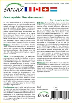 Kit De Culture - Géant Népalais - Fleur Chauve-souris - 10 Graines - Tacca Nevia White -Terre et Verdure 640641cb3c2931.45314096