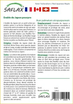 Kit De Culture - Erable Du Japon Pourpre - 20 Graines - Acer Palmatum Atropurpureum 11 Kit De Culture - Erable Du Japon Pourpre - 20 Graines - Acer Palmatum Atropurpureum -Terre et Verdure 640641d837b750.91534800