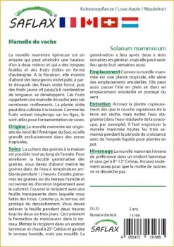 Kit De Culture - Mamelle De Vache - 10 Graines - Solanum Mammosum -Terre et Verdure 64064214c42f55.18867220