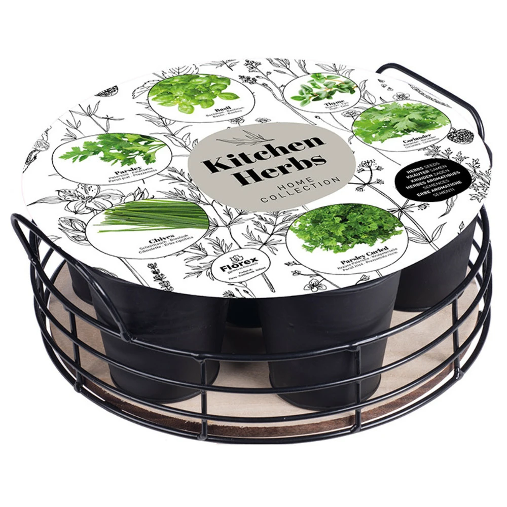 Plateau 6 Herbes Aromatiques Noir Mat 3 Plateau 6 Herbes Aromatiques Noir Mat