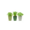 3 Pots D'herbes Aromatiques -Terre et Verdure 640a28507d91e1.45507762
