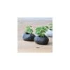 Kit Basilic Pot En Pierre -Terre et Verdure 640a2945ed0147.32740608