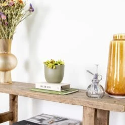 Dionaea Muscipula – Plante Carnivore – Peu D'entretien – ⌀12 Cm – ↕10-15 Cm -Terre et Verdure 640b20a5e78e48.00125916