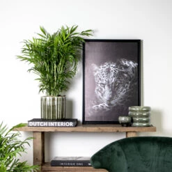 Chamaedorea Elegans - Palmier Nain Mexicain - Purificateur D'air – ⌀17 Cm - ↕50-60 Cm -Terre et Verdure 640b21045e72a5.33117055