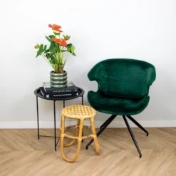 Anthurium 'aristo' Orange - Plante Flamingo - Entretien Facile - ⌀14 Cm - ↕45-55 Cm -Terre et Verdure 640b783c3548d8.40389046