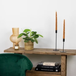 Maranta Lemon Lime – Plante De Prière – Plante D'intérieur – Purificateur D'air – ⌀12cm –↕10-15cm -Terre et Verdure 640b786dee6560.87406910