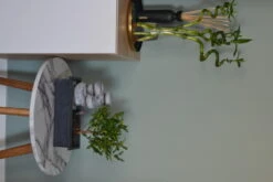 Set Bonsaï Et Cascade-pierres - Support L.30cm- H.25-30cm -Terre et Verdure 6422e176c936d7.62659362