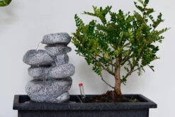 Set Bonsaï Et Cascade-pierres - Support L.30cm- H.25-30cm -Terre et Verdure 6422e176e22588.29286272