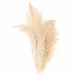 6 Herbes De Palma Séchées Naturelles -Terre et Verdure 64258467cf48a9.13929074