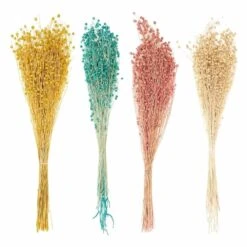 24 Tiges De Lin Séché Multicolores 70 Cm -Terre et Verdure 6425846a3ceb27.41726068
