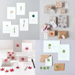 6 Sets De Feuilles/ Fleurs Séchées Et Pressées -Terre et Verdure 6425846d3b8cc9.86737615