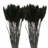 12 Tiges De Lagurus Séchés Noirs - 45 Cm 2 12 Tiges De Lagurus Séchés Noirs - 45 Cm -Terre et Verdure 64258471449766.84893282