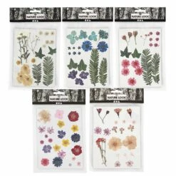 100 Fleurs Séchées Et Pressées Multicolores -Terre et Verdure 64258479a1c6c9.91576468