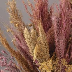 Assortiment De Fleurs Séchées -Terre et Verdure 6425847a202a54.72738169