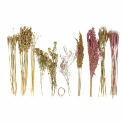 Assortiment De Fleurs Séchées -Terre et Verdure 6425847a28e7c1.91892144