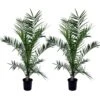 Phoenix Canariensis - Set De 2 - Palmier Dattier - Pot 19cm - Hauteur 80-100cm -Terre et Verdure 6426d613cc3256.78018557