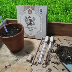 Coffret De Semences Textile Tissus Etoffe Et Fil -Terre et Verdure 642d66acef9529.41293408