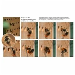 Luxus-insektenhotels Hôtel à Insectes Avec Toit En Hêtre Maja Naturel -Terre et Verdure 645b9442ecc599.55075722