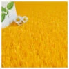 Gazon Synthétique Peps - Couleur Jaune Orangé - 20mm - 2m X 5m 2 Gazon Synthétique Peps - Couleur Jaune Orangé - 20mm - 2m X 5m -Terre et Verdure 645ce1ee693bb7.79251300