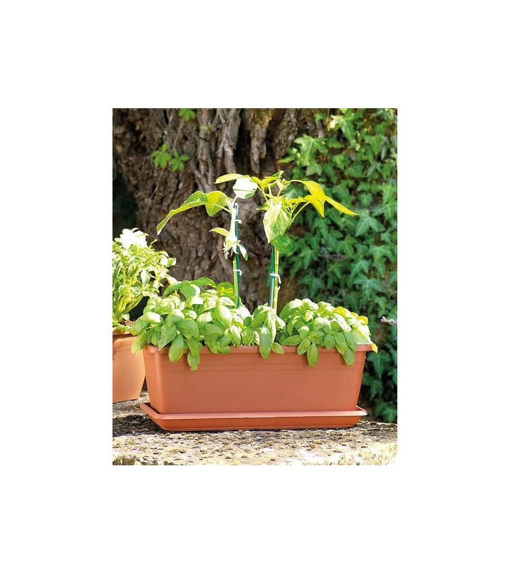 Jardiniere Day R Cotto - Coloris Terre Rouge - 50cm 4 Jardiniere Day R Cotto - Coloris Terre Rouge - 50cm – Image 2