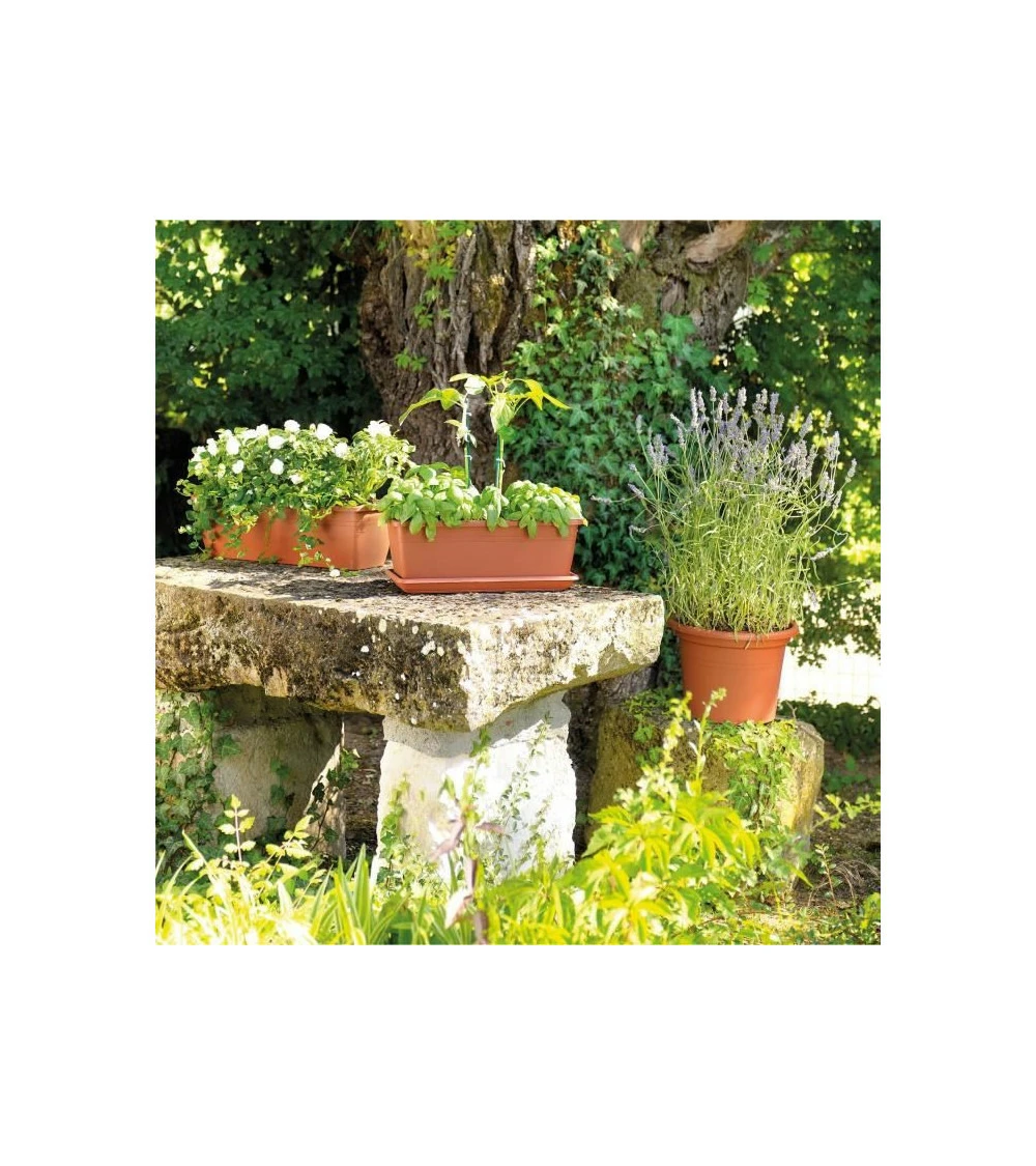 Jardiniere Day R Cotto - Coloris Terre Rouge - 50cm 6 Jardiniere Day R Cotto - Coloris Terre Rouge - 50cm – Image 4