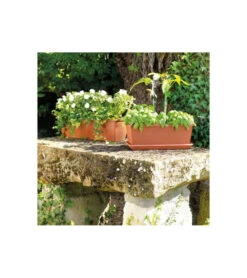 Jardiniere Day R Cotto - Coloris Terre Rouge - 50cm 8 Jardiniere Day R Cotto - Coloris Terre Rouge - 50cm -Terre et Verdure 645cf55caebad8.93526619