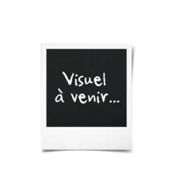 Elho Jardiniere Green Basics 60 - Vivre Noir - Extérieur - Xxl - L 29,5 X W 59,2 X H 27,7 Cm -Terre et Verdure 645cf561d06225.50447348