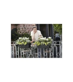 Elho Balconniere Green Basics Allin1 55 - Extérieur & Balcon - Xl - L 32,3 X W 56,4 X H 22,7 Cm - Vivre Noir -Terre et Verdure 645cf56390dbb6.90868122