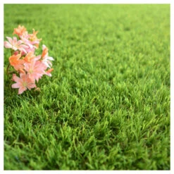 Gazon Synthétique Fontainebleau - 30mm - 1m X 9m 10 Gazon Synthétique Fontainebleau - 30mm - 1m X 9m -Terre et Verdure 645d645d3244b6.85261918