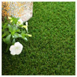 Gazon Synthétique Jardin D'été - 30mm - 1m X 8m -Terre et Verdure 645d646a978aa1.48867922