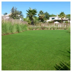 Gazon Synthétique Jardin D'été - 30mm - 1m X 8m -Terre et Verdure 645d646ab57299.80970846