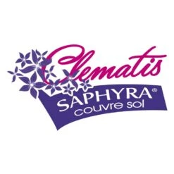 Clématite Saphyra® Violetta "m32-10'/pot De 1,5l - Tuteur Bambou 30/60 Cm -Terre et Verdure 645d8588a2e9e0.30160117
