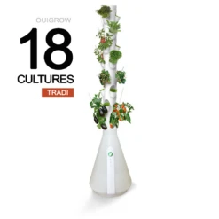 Ouigrow Tradi 18 Cultures