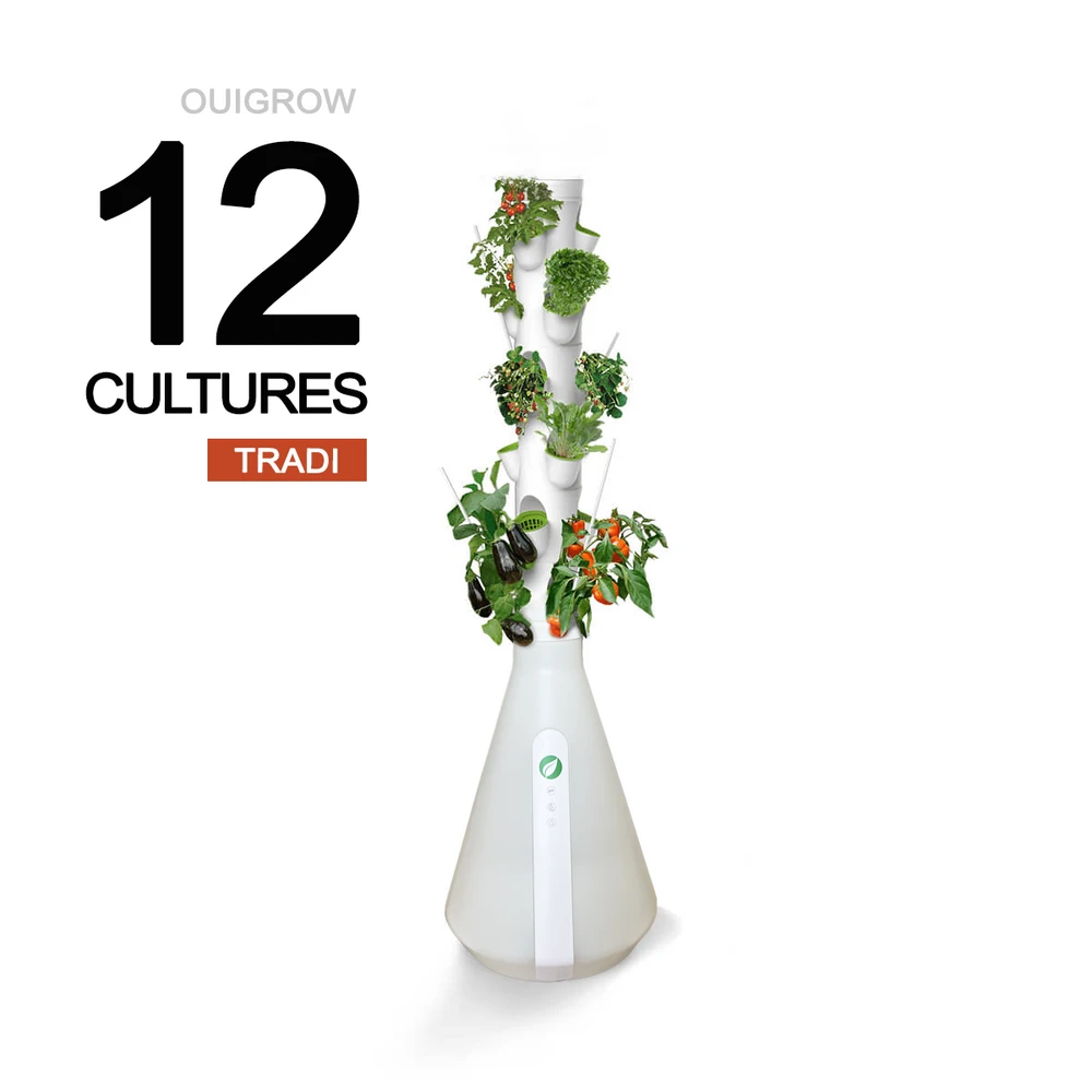 Ouigrow Tradi 12 Cultures 3 Ouigrow Tradi 12 Cultures
