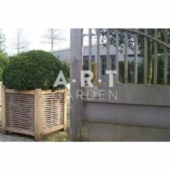 Jardinière En Chêne Avec Tressage Noisetier - Avec Bac Intérieur - 60 X 60 X 60 Cm -Terre et Verdure 64651e91e89608.28364745
