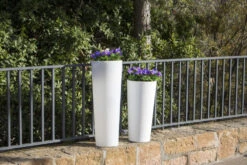 Pot De Fleurs Ficus 80 ø29x79cm - Blanc 9 Pot De Fleurs Ficus 80 ø29x79cm - Blanc -Terre et Verdure 6470a391b5d372.36133991