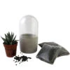 Mini Kit Terrarium Succulente Vert/blanc -Terre et Verdure 64763e27c023c0.94318545