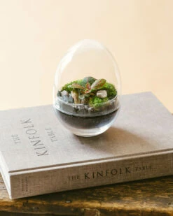 Mini Bohol - Terrarium Xs