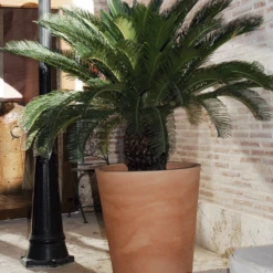 Pot De Fleurs Gerbera ø50x59,5cm - Couleur Terracota -Terre et Verdure 6478c7f37132f4.43209447