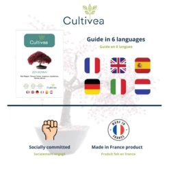 Mini Kit Prêt à Pousser Bonsai -Terre et Verdure 6478c81275c5b5.98218045