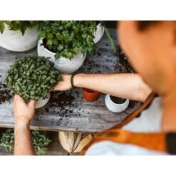 Ensemble De Pot De Fleurs Boule Nature Rib Ivoire -Terre et Verdure 647989580b9a73.15976292