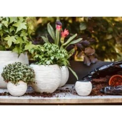 Ensemble De Pot De Fleurs Boule Nature Rib Ivoire -Terre et Verdure 64798958102562.13059952